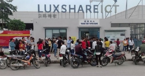 Công ty TNHH Luxshare-ICT doanh thu hơn 33 nghìn tỷ đồng