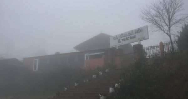 Nếu cạnh tranh lành mạnh, cá tầm trong nước hoàn toàn đáp ứng được nhu cầu của thị trường