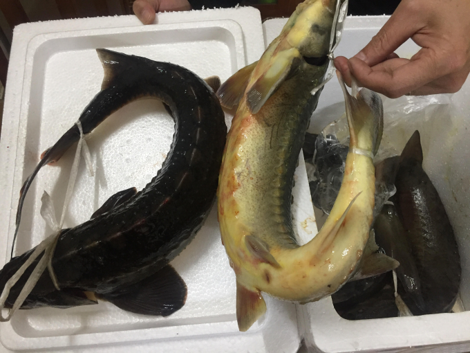 unnamed - 2021-01-04T125707.350