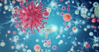 Xuất hiện căn bệnh bí ẩn, giống sốt xuất huyết nhưng không rõ nguồn gốc và virus gây bệnh