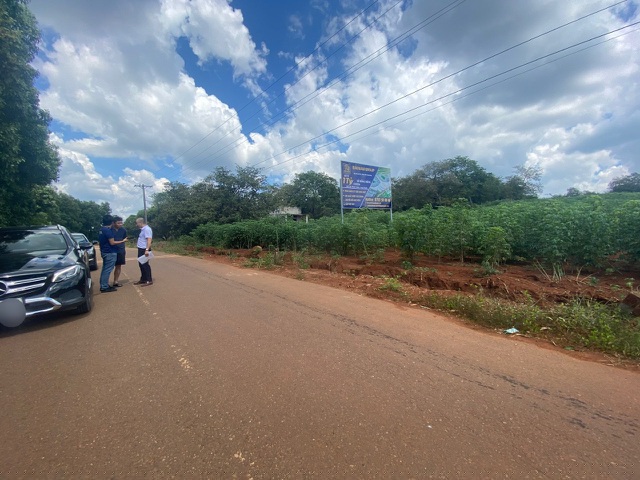 Đất sào, đất mẫu tăng giá mạnh.