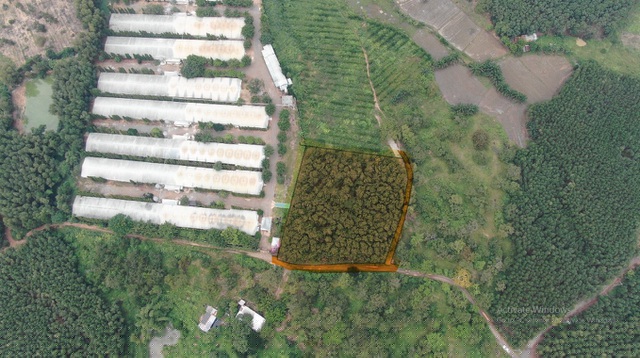 Đất quanh sân bay nhìn từ trên cao.