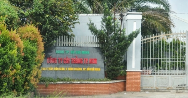 Hàng trăm ha đất của Công ty TNHH MTV Cây trồng TP HCM được giao vượt thẩm quyền