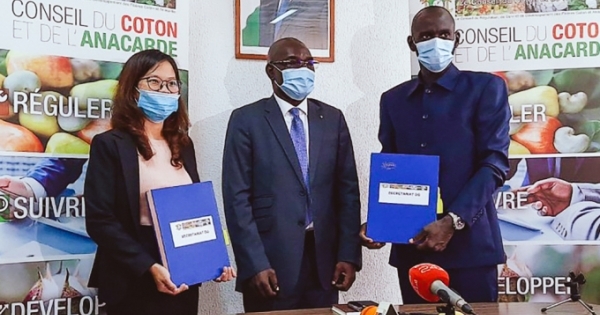 T&T Group tham gia khắc phục câu chuyện “được mùa mất giá”