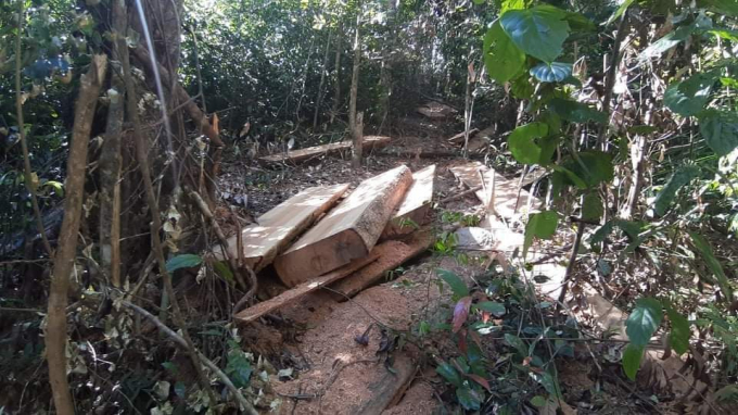 received_161357795380576.