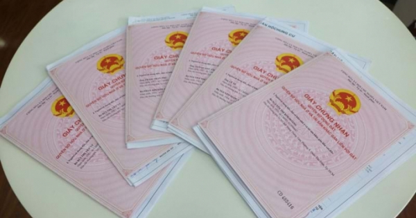 Các trường hợp được cấp sổ hồng mới nhất