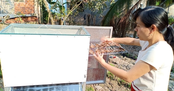 Cô giáo làng chế máy sấy nông sản bằng năng lượng mặt trời