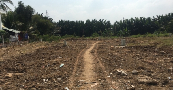 Kẻ chủ mưu vụ Tiên Phong Land bán dự án "ma" cho khách hàng vẫn ngoài vòng pháp luật?