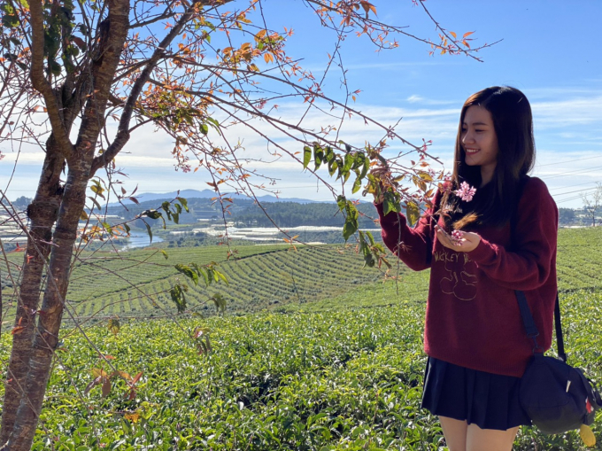 Thiếu nữ xinh hơn, yêu đời và tươi trẻ khi đứng bên những nhành Mai Anh Đào lung linh sắc thắm.