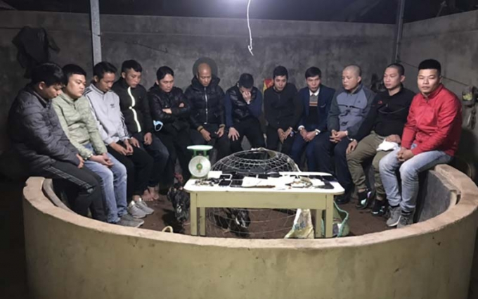 5848_soi-ga-trong-nha-chi-gai