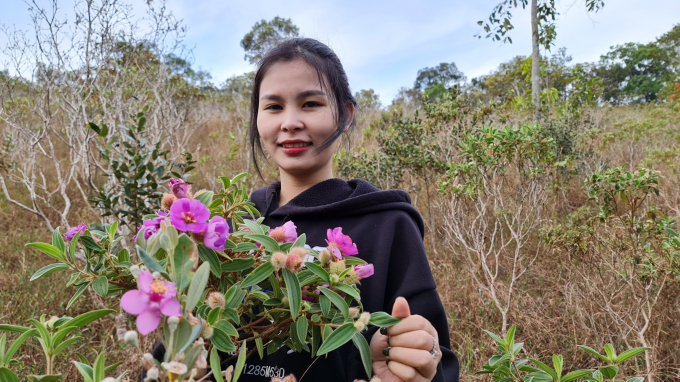 Bất kỳ ai cũng kh&ocirc;ng thể cưỡng lại được vẻ đẹp b&igrave;nh dị nhưng v&ocirc; c&ugrave;ng m&atilde;nh liệt của lo&agrave;i hoa lặng lẽ n&agrave;y.