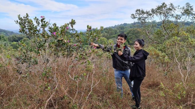 Khi về b&ecirc;n đồi Sim, Ka Uy&ecirc;n như được sống trọn vẹn với cảm x&uacute;c của m&igrave;nh.