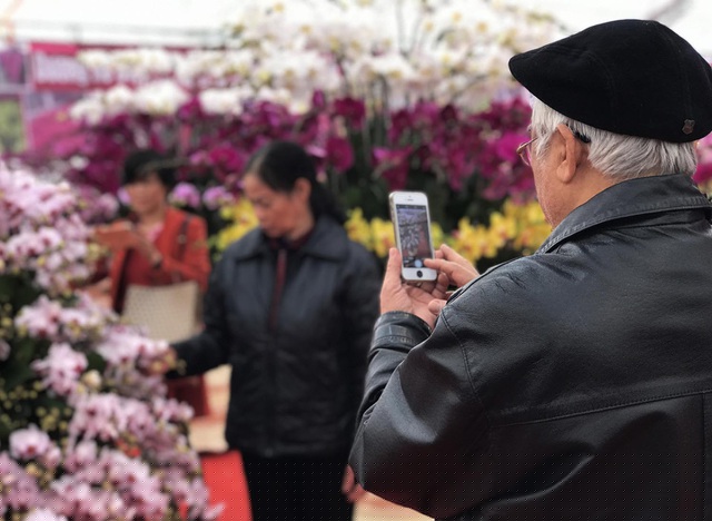 Khách hàng thích thú, dừng lại chụp ảnh bên những chậu lan