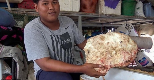 Vô tình nhặt được hòn đá lạ, nặng 7 kg, ngư dân trẻ vớ bẫm được cả "kho báu" tiền tỷ