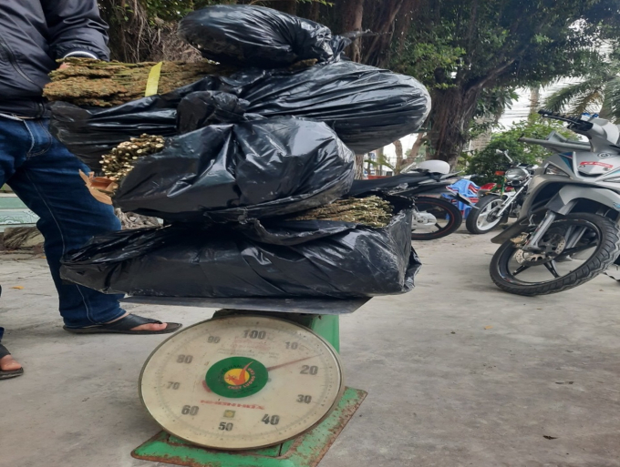 5ea9192a97d5678b3ec4