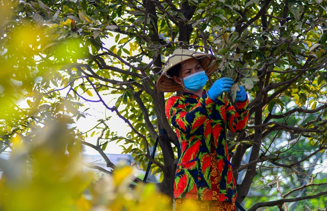 Công việc thường bắt đầu từ ngày 13 đến 17 âm lịch. 