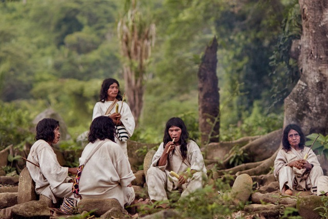 Kogi là bộ tộc người da đỏ với dân số khoảng 20.500 người sống trên dãy núi Sierra Nevada, Colombia - dãy núi sát bờ biển cao nhất thế giới. Đây là vùng núi hoang vu quanh năm mây mờ bao phủ, gần như còn nguyên vẹn từ mấy nghìn năm nay. Huyền thoại cho rằng đó là nơi ở của các đấng thần linh, có nhiệm vụ che chở cho loài người, vì vậy dù bạo gan đến mấy cũng rất ít người dám đặt chân đến đây vì sợ thần linh quở phạt.