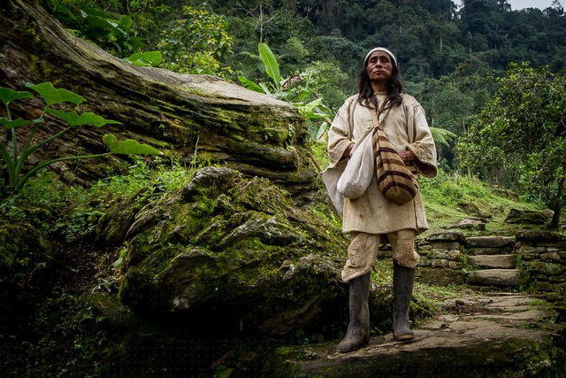 Bộ tộc Kogi có nguồn gốc từ nền văn minh Tairona cổ xưa có niên đại lên tới 8.000 năm, tồn tại trước cả thời đại văn minh cổ nổi tiếng của người Incas và Maya ở Nam Mỹ. Họ sống tách biệt, không quan hệ hay giao tiếp với thế giới bên ngoài. Nếu có, họ cũng chỉ giới hạn tiếp xúc với những bộ tộc lân cận sống cùng dãy núi.