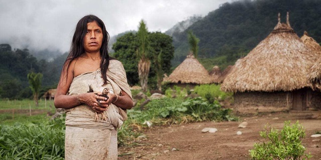 Người Kogi có vóc dáng khá nhỏ nhắn, nước da ngăm, mái tóc xoăn tự nhiên và để dài cả nam lẫn nữ. Trang phục của tất cả mọi người đều giống nhau, đó là những bộ quần áo tự dệt từ sợi thô màu trắng, ống tay rộng. Họ cho rằng màu trắng tượng trưng cho Mẹ vĩ đại và sự tinh khiết của thiên nhiên. Thường ngày họ luôn đeo bên mình những chiếc túi, đặc biệt là chỉ phụ nữ mới được phép dệt những chiếc túi này.