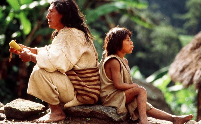 Người Kogi không thờ bất cứ một vị thần nào, cũng không có các hoạt động tâm linh hay tín ngưỡng. Thay vào đó, tất cả các thanh niên trong bộ tộc đều phải trải qua một khóa thiền định tu tập trong vòng 9 năm để được coi là trưởng thành. Họ sẽ ngồi quay mặt vào vách đá để khám phá, suy ngẫm về sự liên kết, giao thoa, hòa hợp của trời đất, con người và tự nhiên.