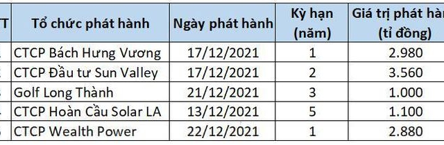 Loạt doanh nghiệp hút cả nghìn tỉ đồng từ trái phiếu nửa cuối tháng 12/2021