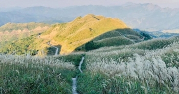 Say đắm cung đường tuần tra biên giới Bình Liêu