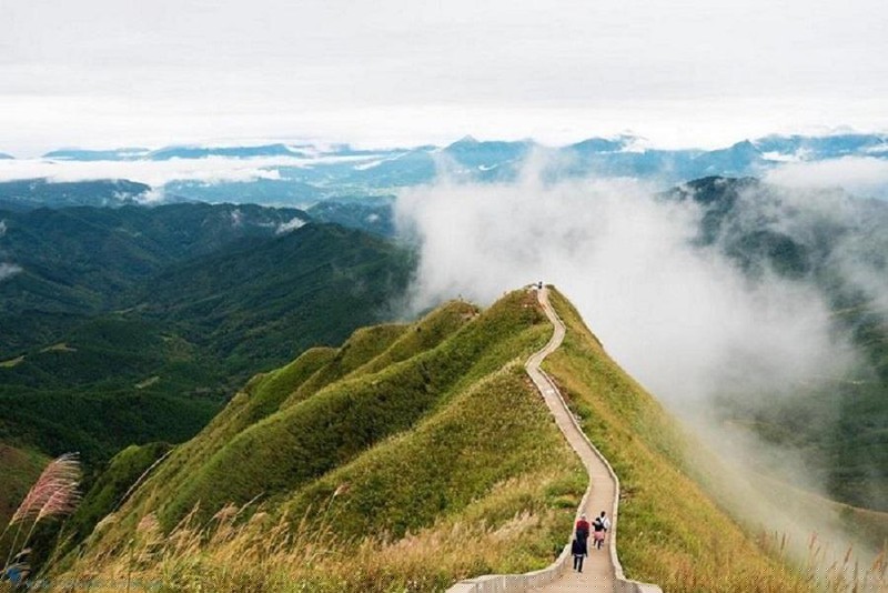 Đoạn cung đường tuần tra đẹp và thơ mộng được ví như