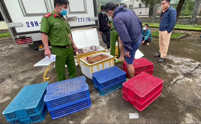 dong_vat_a-1641266590464