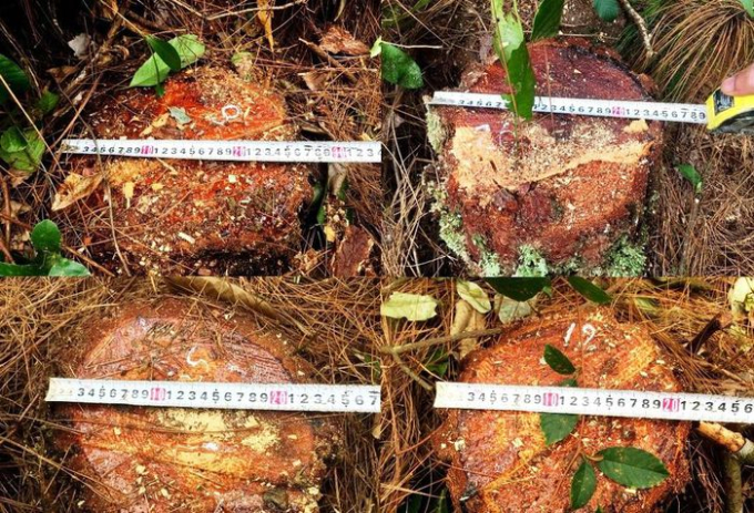 5b7d2d2086626f3c3673