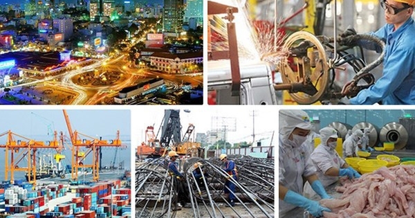 Công bố kết quả sơ bộ Tổng điều tra kinh tế và Điều tra cơ sở hành chính năm 2021