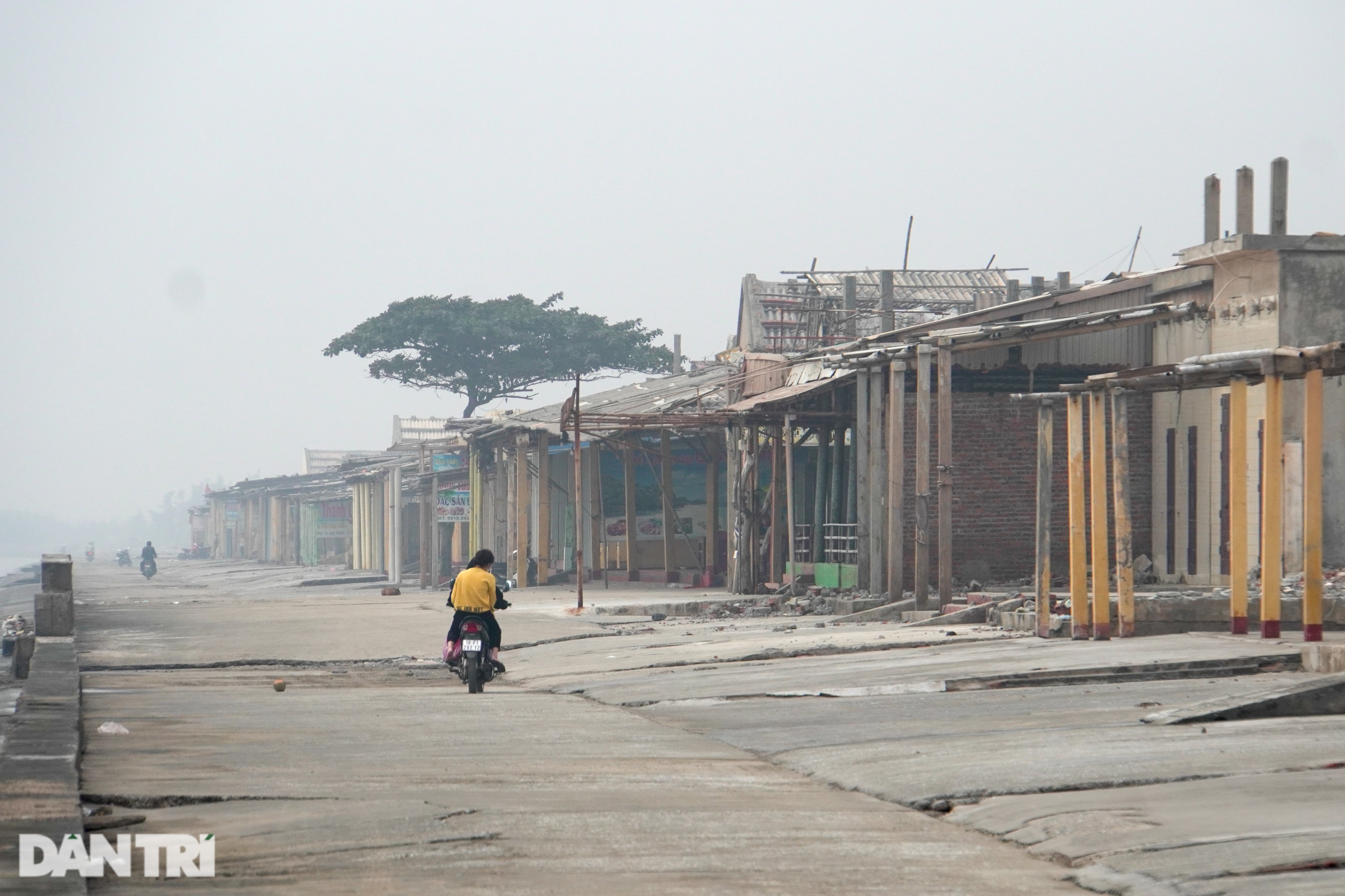 Điểm du lịch Quất L&acirc;m vắng b&oacute;ng ho&agrave;n to&agrave;n c&aacute;c du kh&aacute;ch, chờ n&acirc;ng cấp th&agrave;nh khu du lịch lớn do UBND tỉnh Nam Định quản l&yacute;.