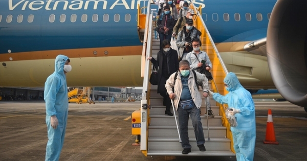 Nhu cầu người Việt Nam về nước đón Tết cao, hàng không tăng tần suất đường bay quốc tế