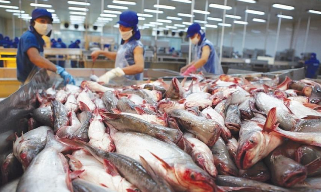 Xuất khẩu thuỷ sản chạm mốc 8 tỷ USD