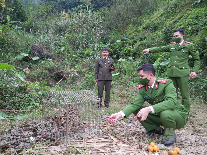 z3115262470417_87ec9a6cbf582941ac1675702ef27331-090053_387