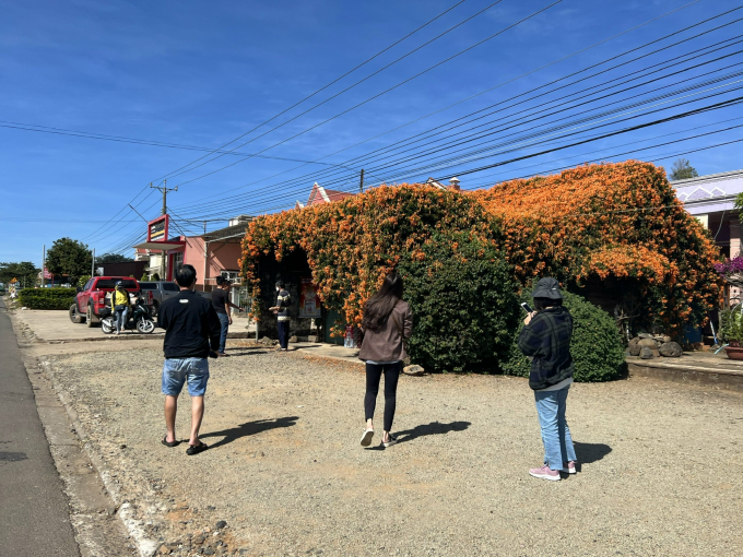 Rất nhiều bạn trẻ gh&eacute; lại chi&ecirc;m ngưỡng tiệm tạp h&oacute;a x&aacute;c ph&aacute;o v&agrave; chọn cho m&igrave;nh v&agrave;i tấm ảnh c&ugrave;ng sắc hoa tượng trưng cho sự may mắn n&agrave;y