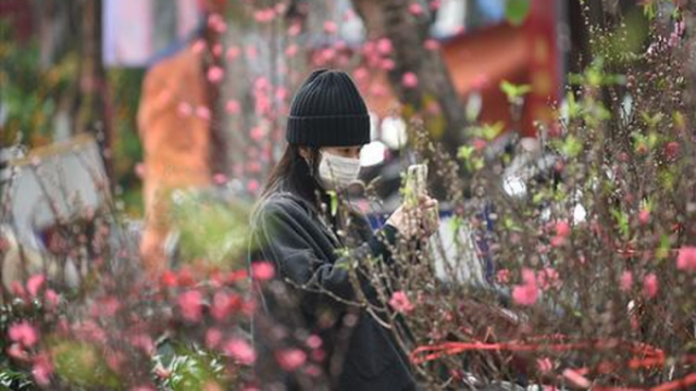 Tết này có gì khác?