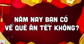 Tiêu điểm: Mang ấm no về cho Tết