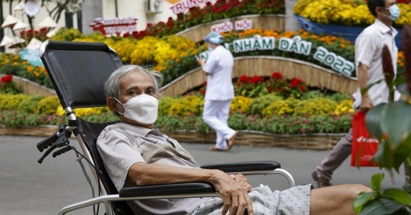 Bệnh nhân, y bác sĩ du xuân tại đường hoa bên trong Bệnh viện Chợ Rẫy