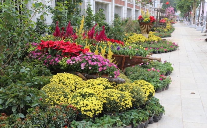 272810887_1062224171223831_8974133910736393577_n