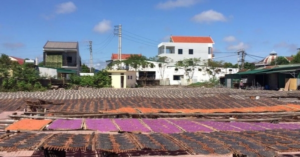 Làng bánh đa hơn 300 tuổi chạy đua với Tết