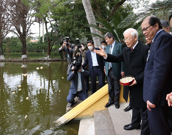 Tổng Bí thư Nguyễn Phú Trọng thăm ao cá Bác Hồ. (Ảnh: Trí Dũng/TTXVN)