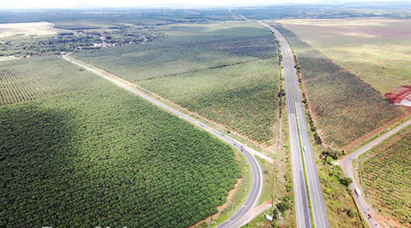 Đường tỉnh 769 phục vụ thi c&ocirc;ng dự &aacute;n s&acirc;n bay Long Th&agrave;nh qu&aacute; tải kh&ocirc;ng thể đ&aacute;p ứng nhu cầu vận chuyển v&agrave;o giai đoạn thi c&ocirc;ng cao điểm.