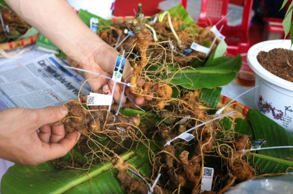 Screenshot_20230106-190037_Zalo