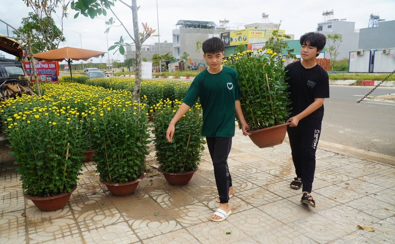 Những ng&agrave;y n&agrave;y sắc xu&acirc;n tr&agrave;n ngập x&oacute;m nhỏ, b&ecirc;n đường nhiều thương l&aacute;i đưa hoa về b&aacute;n xu&acirc;n cho cư d&acirc;n t&aacute;i định cư.