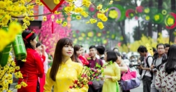 Nhiều hành vi “quá đà” cần lưu ý để không bị xử phạt trong dịp tết