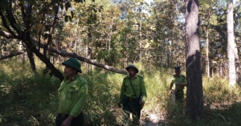 Tết của những người bám rừng xanh, núi đá