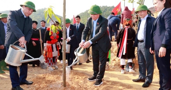 Xây dựng Tuyên Quang là trung tâm lâm nghiệp ứng dụng công nghệ cao