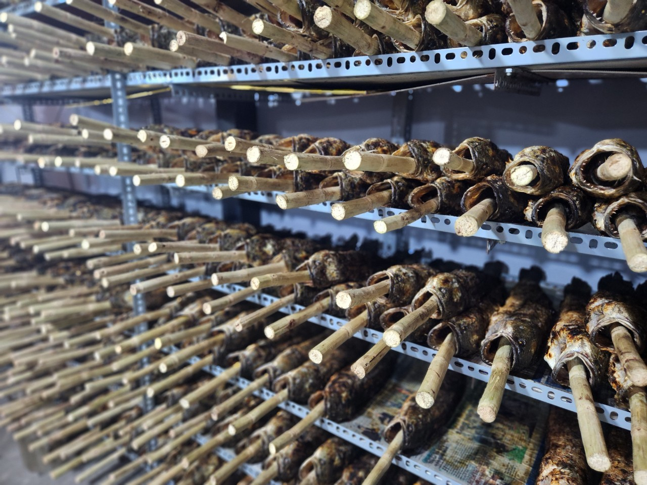 z4072484696043_3fe78d266e460de8aeb449ef1f632940