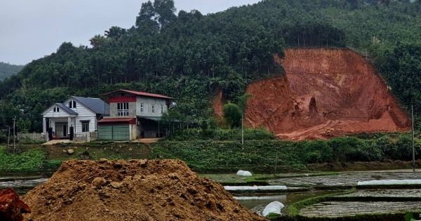 Yên Bái: Bùng phát tình trạng cuốc đất rừng san lấp ruộng trái phép tại huyện Văn Yên