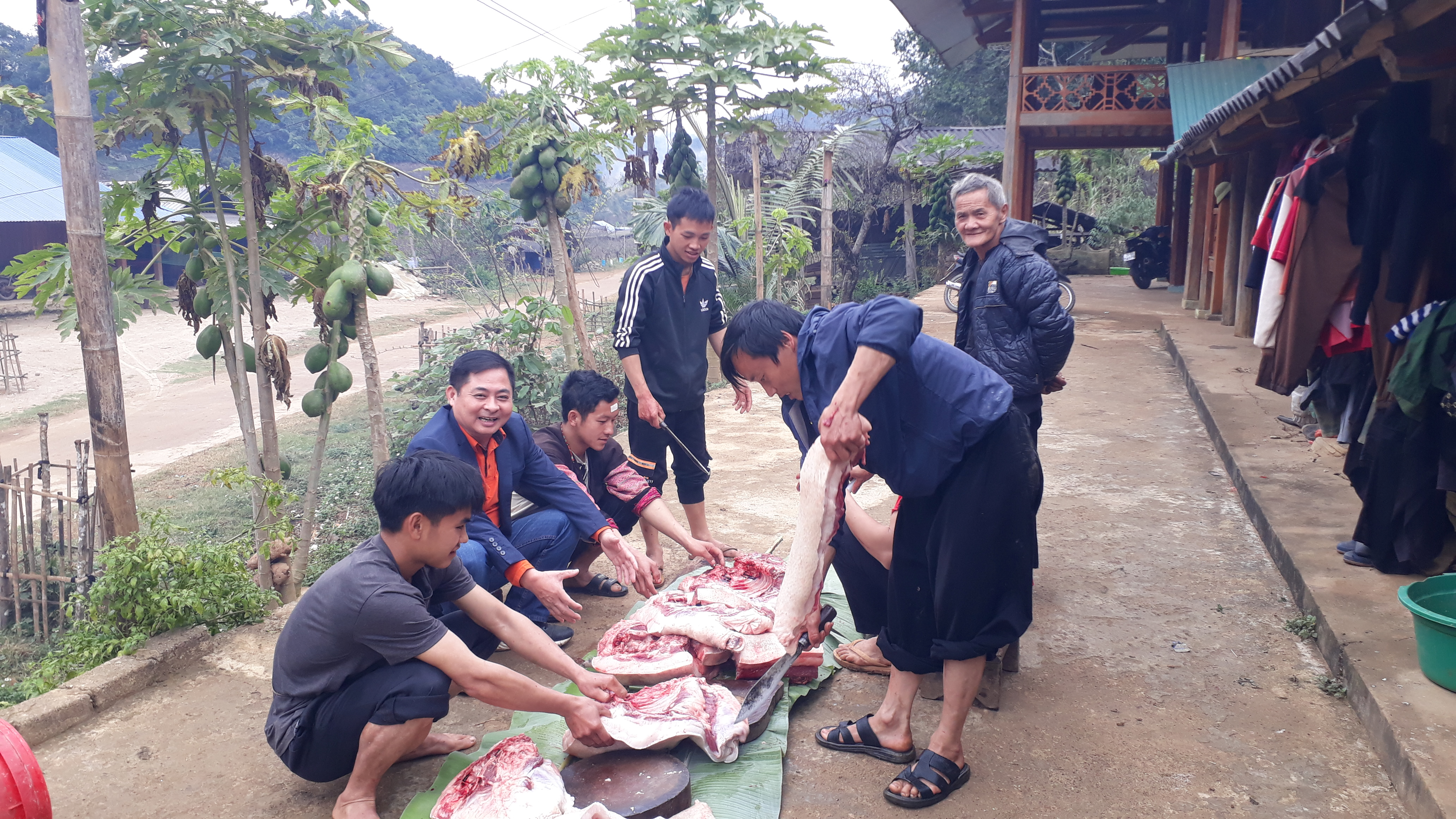 Nhà ông Páo và anh Sáy mổ lợn và gà ăn Tết